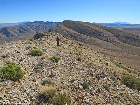 Birdspring Peak