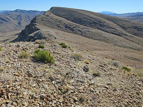 Birdspring Peak