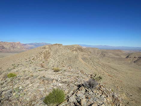 Birdspring Peak