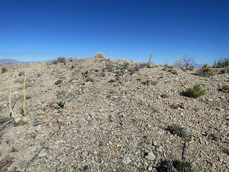 Birdspring Peak