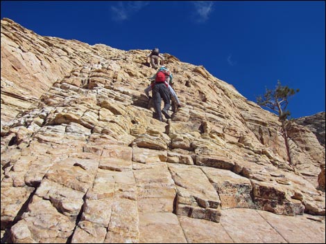 Bridge Mountain