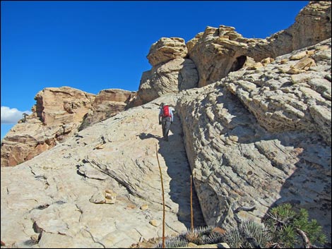 Bridge Mountain