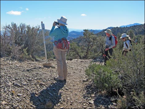 Bridge Mountain Trail