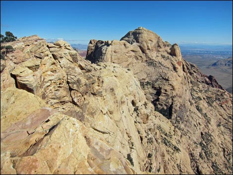 Bridge Mountain Trail