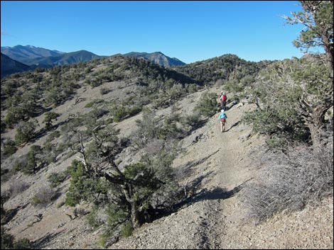 Bridge Mountain Trail