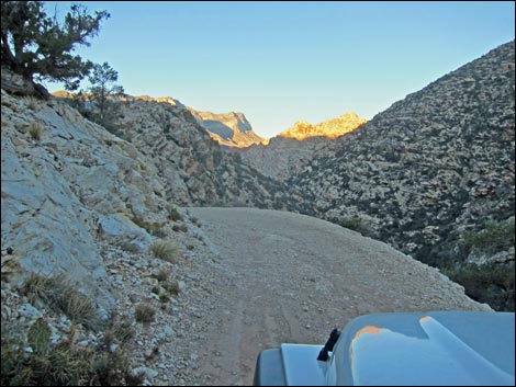 Bridge Mountain Trail