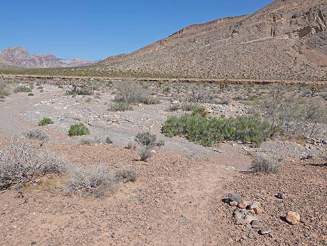Ridgeline Loop Trail