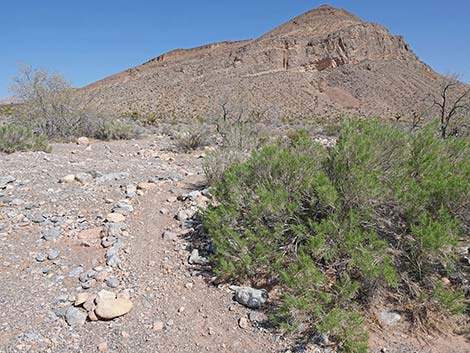 Ridgeline Loop Trail