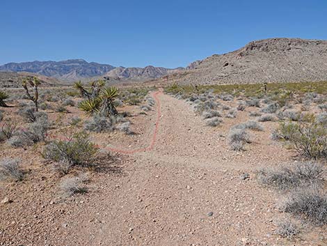 Ridgeline Loop Trail