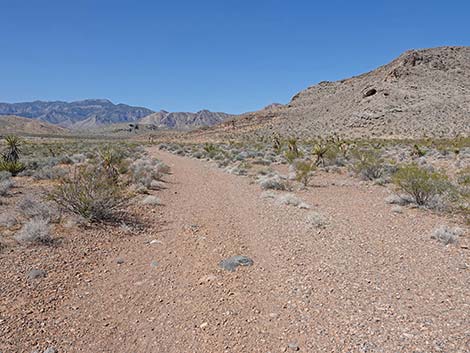 Ridgeline Loop Trail