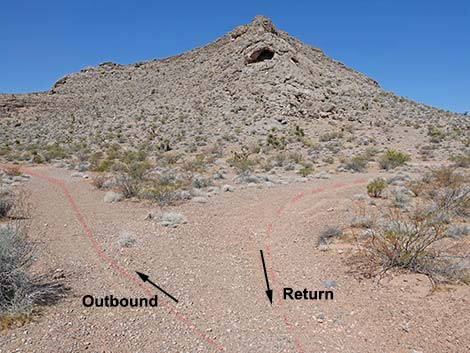 Ridgeline Loop Trail