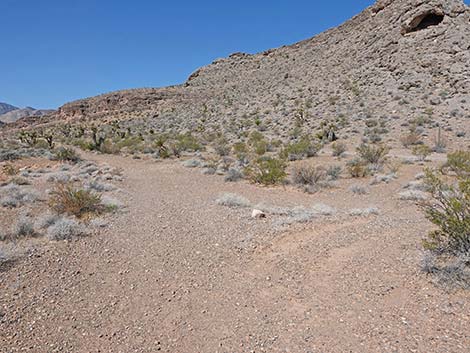 Ridgeline Loop Trail