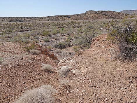 Ridgeline Loop Trail