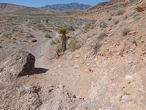 Ridgeline Loop Trail