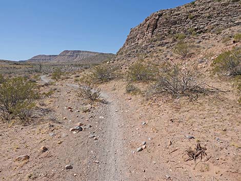 Ridgeline Loop Trail