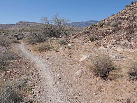 Ridgeline Loop Trail