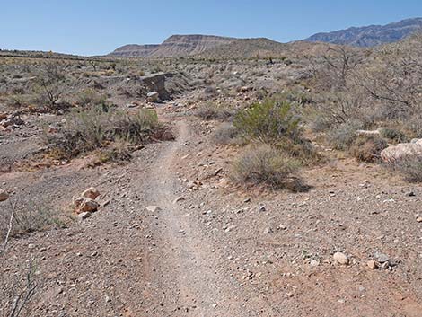 Ridgeline Loop Trail
