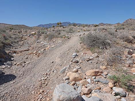 Ridgeline Loop Trail