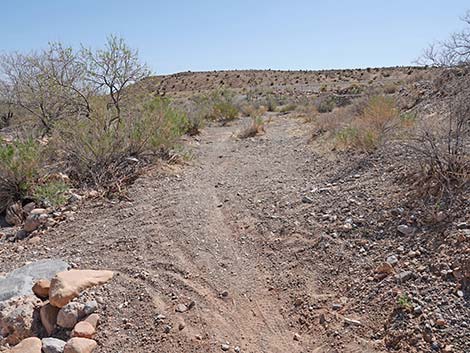 Ridgeline Loop Trail