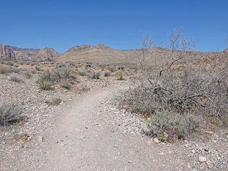 Ridgeline Loop Trail