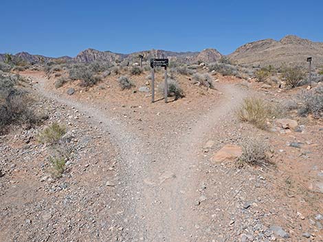 Ridgeline Loop Trail