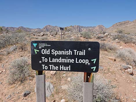 Ridgeline Loop Trail