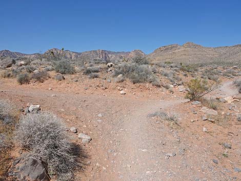 Ridgeline Loop Trail