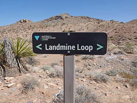Ridgeline Loop Trail