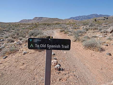 Ridgeline Loop Trail