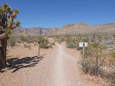 Ridgeline Loop Trail