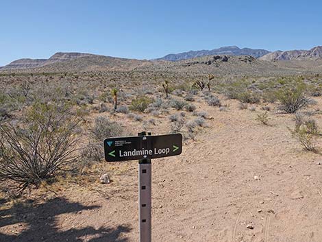 Ridgeline Loop Trail