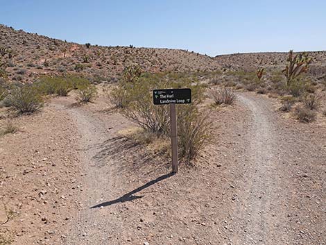 Ridgeline Loop Trail