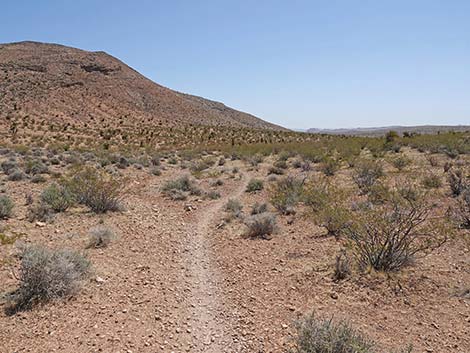 Ridgeline Loop Trail