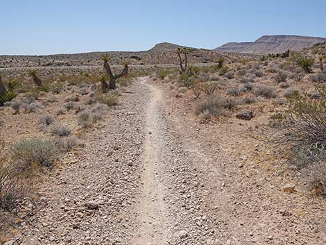 Ridgeline Loop Trail