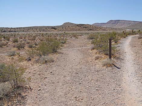 Ridgeline Loop Trail
