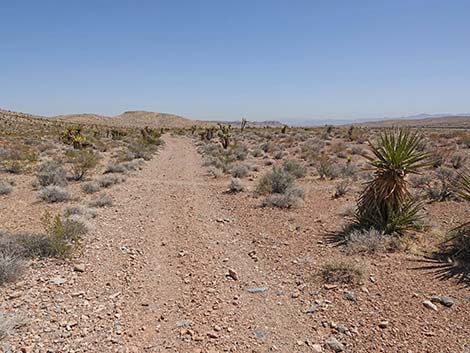 Ridgeline Loop Trail