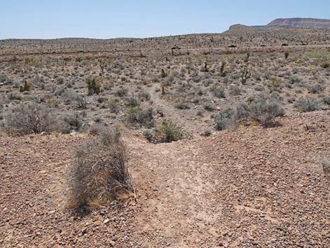 Ridgeline Loop Trail