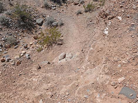 Ridgeline Loop Trail
