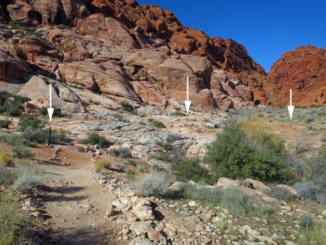 Calico Basin Trail