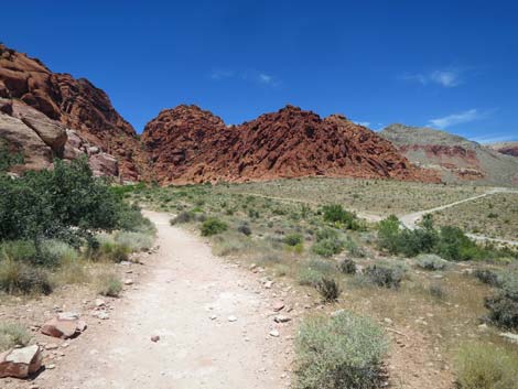 Calico Basin Trail