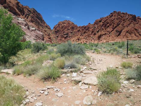 Calico Basin Trail