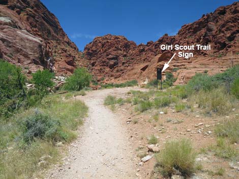 Calico Basin Trail