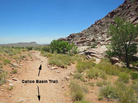 Calico Basin Trail