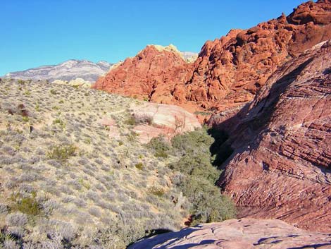 calico hills trail