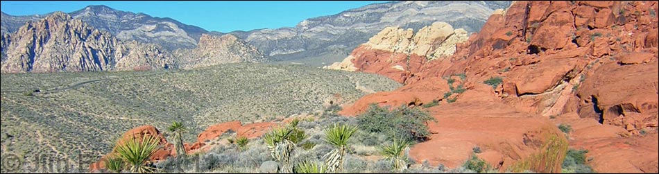 Calico Hills Trail