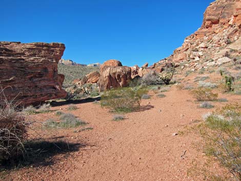 Calico Hills Loop