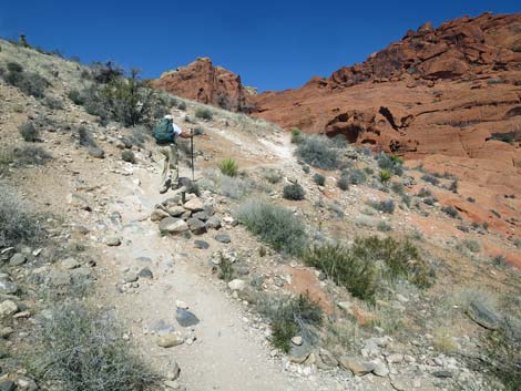 Calico Hills Loop Trail