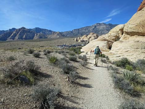 Calico Hills Loop Trail