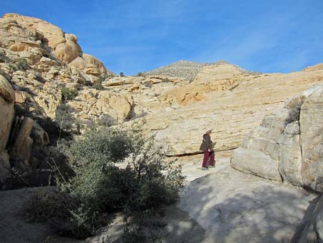 Calico Hills Loop