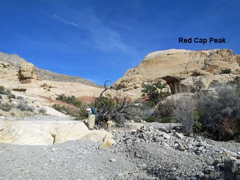 Calico Hills Loop Trail